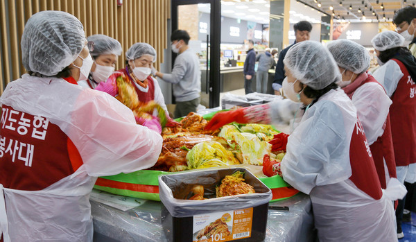 지도농협 고향주부모임이 김치를 담고 있다.