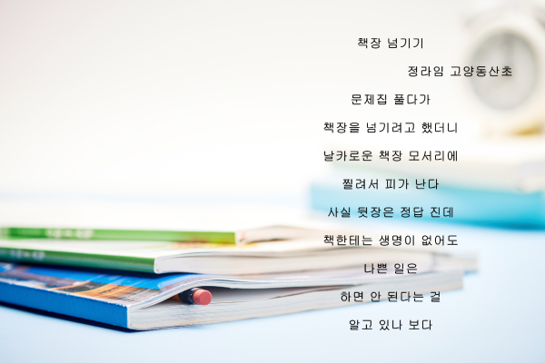 정라임 어린이의 시. 이번 축제의 심사위원인 강이경 동화작가와 김선주 평론가는 "어린이이의 시 쓰기기는 은유나 환유가 기술로 연마되기 전 날것의 싱싱함이 살아있다"며 "정라임 어린이의 시도 일상에서 접하는 책이라는 사물 한 귀퉁이에 말걸기를 시도하고 있는 점이 인상적"이라고 평했다.