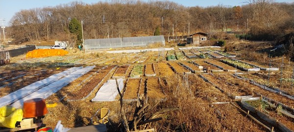 농사가 끝나서 텅 비어 쓸쓸해진 농장전경