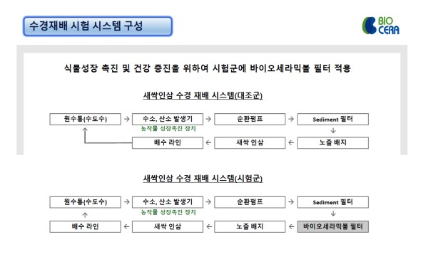 식물성장 촉진 및 건강 증진을 위해 시험군에 바이오세라믹볼 필터를 적용한 새싹인삼 수경재배 시스템 수배관 구성도. [그림 = 전형탁 대표 발제 자료]