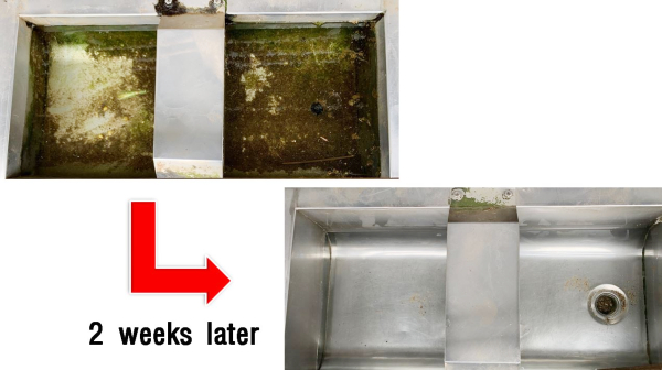 한우 농장에서 희석식 수소미네랄살균수 사용 2주 후 소 물통의 변화. 이끼가 모두 사라진 것을 확인할 수 있다. 