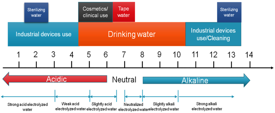 다양한 분야에서 다양한 pH 값의 전기분해수 적용(Application of electrolyzed water at different pH values in various fields. 출처 : Yan, P., Daliri, E. B. M., & Oh, D. H. (2021). New clinical applications of electrolyzed water: a review. Microorganisms, 9(1), 136.) 물을 전기분해하면 알칼리수(음극)와 산성수(양극)가 생성되는데, 알칼리수(pH8.5~10.0)는 의료물질(보통 pH9.5)로 허가돼 치료 목적의 음용수로만 제한적으로 활용된다. 하지만 pH8.5인 한우물의 전기분해 약알칼리수 역시 pH9.5 못지않게 항당뇨·항산화 생리활성 ‘기전’을 보인다는 것이 최근 이규재 연세대학교 원주의과대학 연구팀의 사람 신장 세포(Human Kidney-2) 실험 결과 확인됐다. 의약품으로 분류되는 pH9.5 알칼리수와 달리 한우물 정수기의 전해 약알칼리수는 인체에 전혀 부담이 없어 음용에도 아무런 제한이 없다는 것이 가장 큰 강점이다. 산성수(pH6.5 이하)는 미용, 의료용, 소독용, 식품첨가물 등으로 활용되는데 다량의 차아염소산을 포함하고 있어 소독 살균 효과가 뛰어나다. [그림 = 연세대학교 의과대학 융합의과학부 모조등(MO CHAODENG) 연구원 발제 자료]