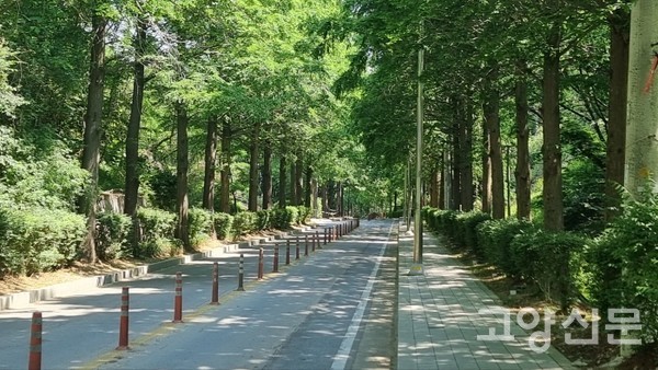 [사진제공=한기식]