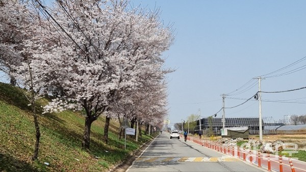 [사진제공=한기식]