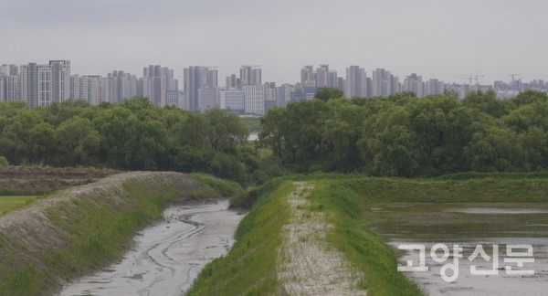[사진제공=한기식]