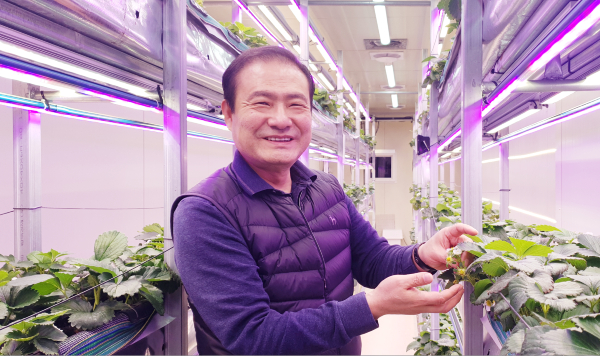 김인수 루비스코 대표는 “연중 겨울딸기를 재배할 수 있는 설계·시공부터 광량·온도·습도 관리, 양액공급, 친환경 방제, 스마트 방제 시스템 그리고 생산 후 유통관리까지 토털 솔루션을 제공할 수 있는 곳은 루비스코 밖에 없다고 자부한다”며 “전 세계인에게 사시사철 맛있는 딸기를 맛볼 수 있는 것이 꿈이 아닌 현실이 됐다”고 말했다. 