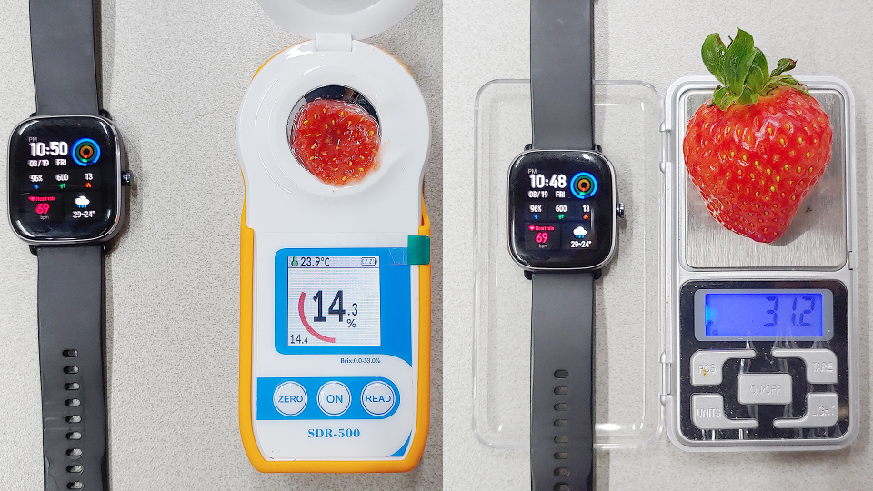 2022년 8월 19일에 루비스코 딸기 재배 실험공간 내에서 당일 수확한 딸기(설향) 특대과 기준 딸기의 당도(14.2Brix)와 중량(31.2g). 소비자들이 딸기를 살 때 가장 중요하게 고려하는 사항은 맛과 향의 과실 품질(50%)과 안정성(17%)이다. 그래서 농산물 경매사들은 과실품질(색깔, 당도, 모양, 크기, 육질 등)과 출하 조건을 중요하게 생각하는데, 루비스코 식물공장 LED 딸기는 당도, 크기, 착색에 필요한 재배기술을 바탕으로 최고 품질의 딸기를 1년 내내 생산할 수 있다.