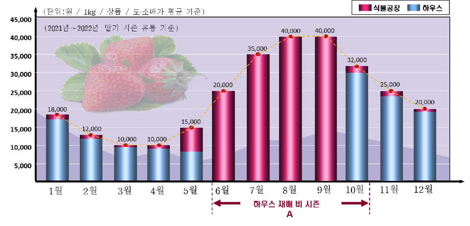 연중 딸기 시장 가격 전망. 여름에 하우스 재배가 가능한 품종은 외산 품종(사계절용)으로 낮은 당도(6Brix 이하)와 높은 경도로 생과일로는 섭취가 어렵고 주로 베이커리(제빵) 장식용으로 활용되고 있다. 