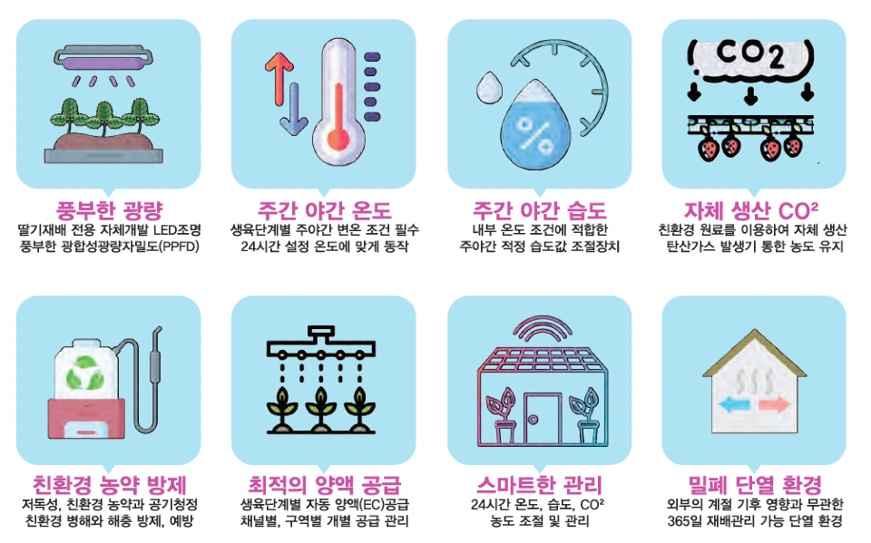루비스코 딸기 재배 LED 식물공장의 강점. 최적 환경을 위한 토털 시스템을 갖추고 있다. 식물공장에서 딸기가 꽃을 피우고 과실로 전환돼 수확하기까지는 많은 수고와 노력, 그리고 기술이 따라야 한다. 특히, 한여름에도 겨울딸기가 재배될 수 있는 최적의 환경조건을 만들어 주는 것이 중요하다. 