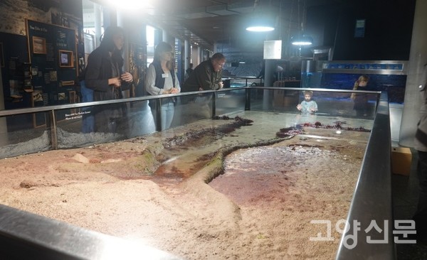 물티마르 갯벌수조(메조코즘) [사진=한동욱]