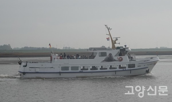 탐조선박 [사진=한동욱]