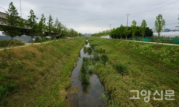 대장천, 환경부 생태하천복원사업 우수상 수상