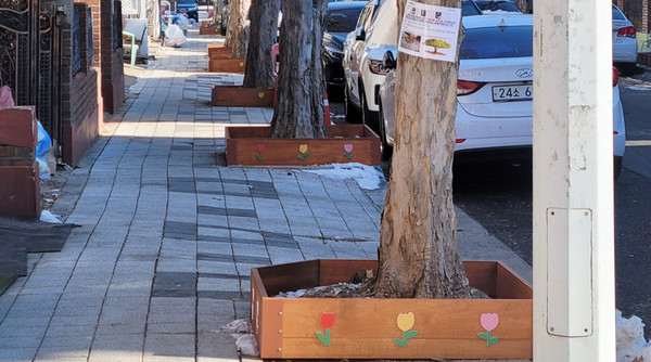 새롭게 단장된 정발산동 보넷길