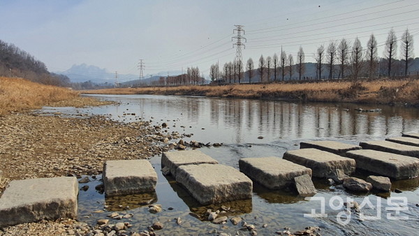 관산동 체육공원 앞 창릉천 징검다리와 메타세쿼이아 둑방길