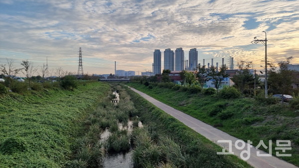 식사동 견달산에서 발원해 백석동과 신평동으로 흐르는 도촌천