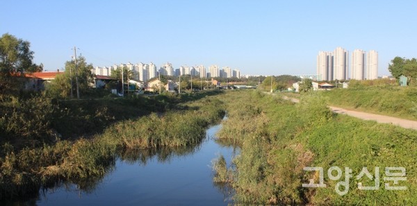 일산서구 곡창지대를 휘감아 도는 장월평천