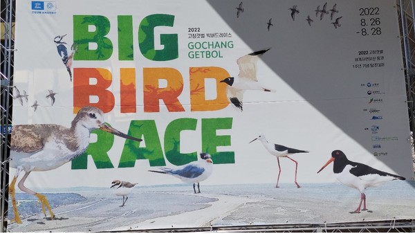 전북 고창 빅버드레이스, 지난해 8월.  ⓒ 박수택