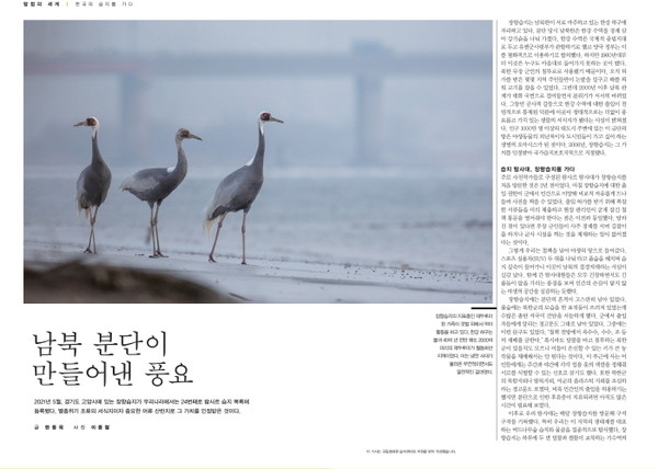 내셔널 지오그래픽에 게재된 장항습지 기사