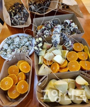 시민들이 준비한 먹이나눔 재료 [사진제공=에코코리아]