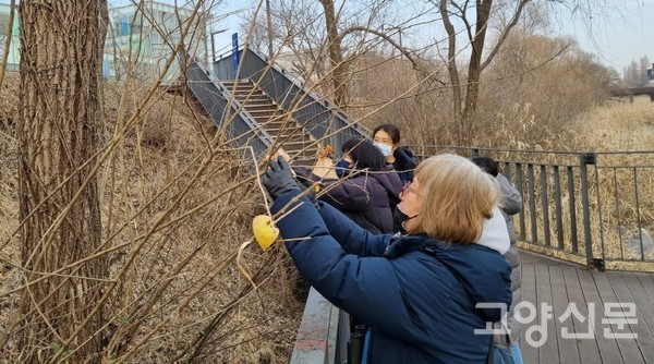 먹이를 나누고 있는 시민들 [사진제공=에코코리아]