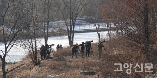 탐조사진가들의 과도한 접근은 새들의 보금자리를 위협하기도 한다. [사진제공=에코코리아]