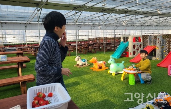 아이들이 좋아하는 장난감이 가득한 휴식공간.