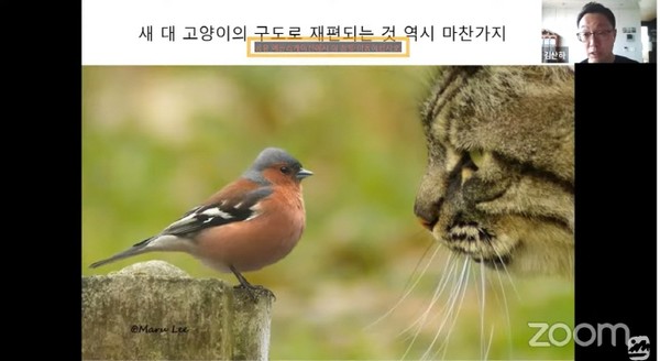 김산하 생명다양성재단 대표의 주제발표 영상 캡쳐  