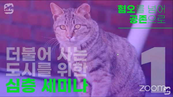 유튜브 '서울환경연합' 영상 캡쳐