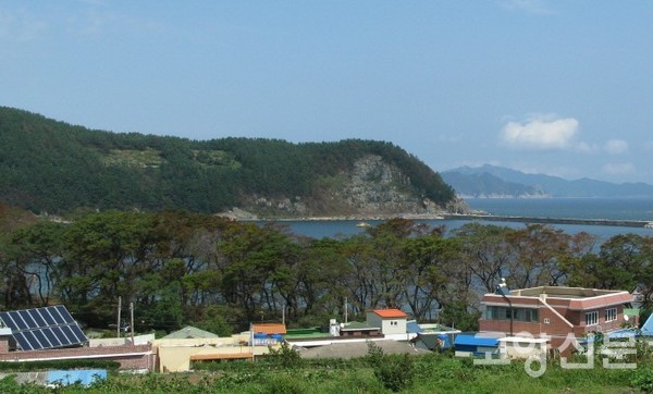 남해 물건리 해안숲 [사진제공=에코코리아]