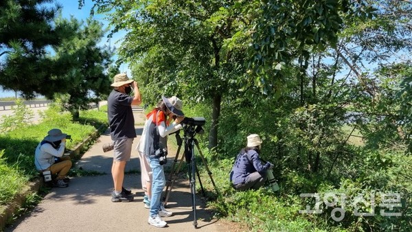 [사진제공=새와 사람사이]