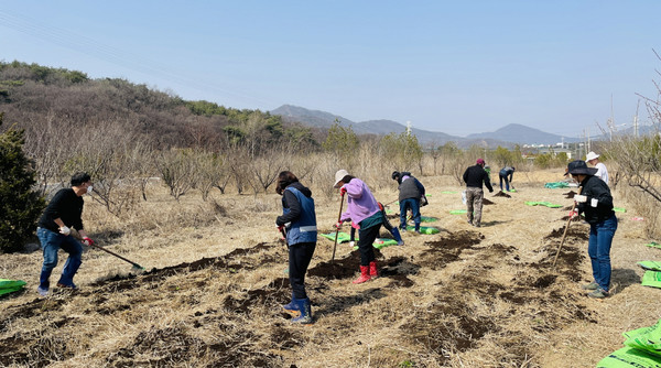 효자동 주민자치회가 자치사업인 ‘함께 가꾸는 나눔 행복텃밭’ 활동을 했다.