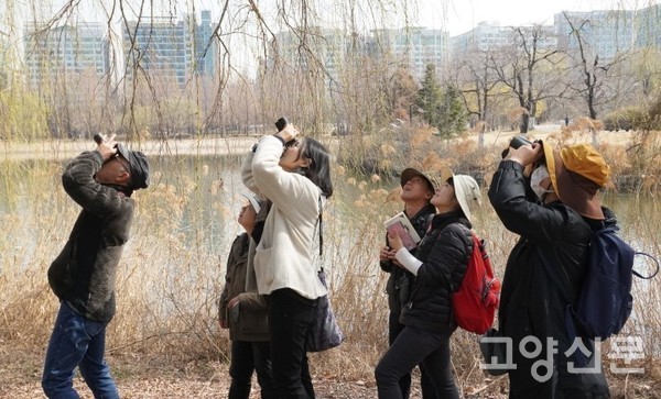 버드나무 위 오색딱따구리의 활동을 관찰하는 참가자들.