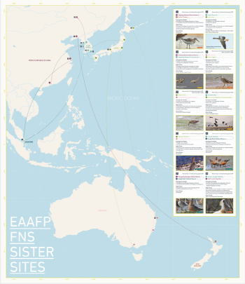 EAAFP 철새이동로 자매서식지를 연결한 지도. [출처=EAAFP]