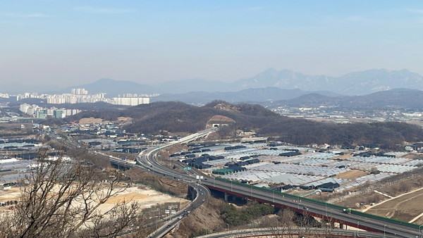 [사진제공=정동일]