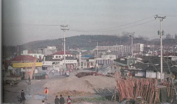 [사진제공=정동일]