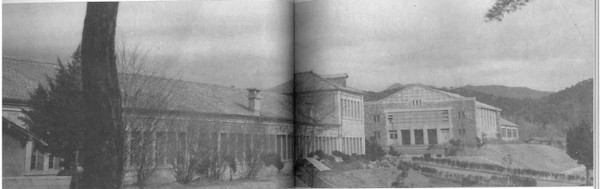 [사진제공=정동일]