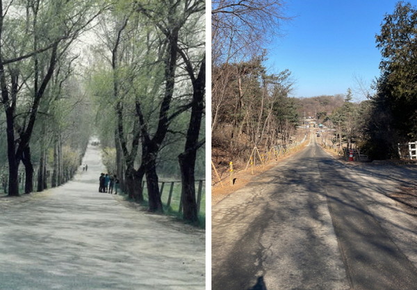 [사진제공=정동일]