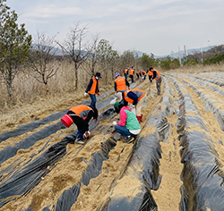  효자동 주민자치회가 ‘함께 가꾸는 나눔 행복텃밭’ 활동을 진행했다.