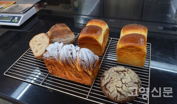 베이킹 클래스로 배우는 다양한 빵들. (오른쪽부터 시계방향)탕종식빵, 호밀로 만든 뚜르트오세이글, 유대인 전통 디저트 바브카빵 , 긴 시간이 걸려 완성되는 샤워도우 빵.