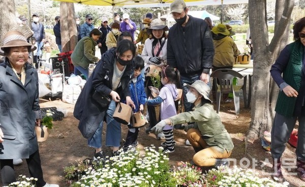화분 모종 나눔.
