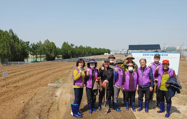 대화동 주민자치회가 덕양구 토당동 공동체 나눔 텃밭에서 씨감자 심기를 진행했다