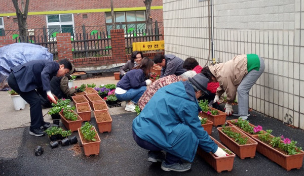 초화 심기에는 20여 명이 참여했으며, 가로화단과 화분을 정비하고 페튜니아를 식재했다. 