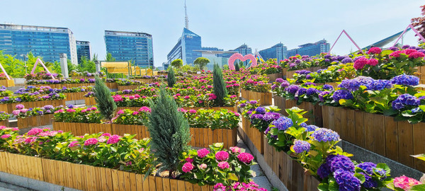 수국정원 [이미지 제공=고양국제꽃박람회]