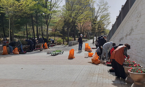 마두2동이 주민자치 위원과 동 직원 약 20여 명이 참석해 초화를 식재했다.