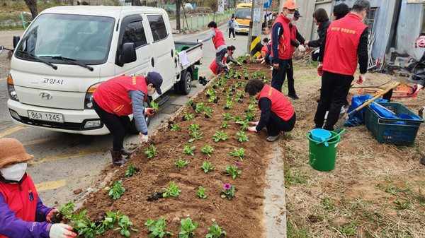 성사1동이 쾌적한 마을환경을 조성하기 위해 봄맞이 초화를 심고 있다.
