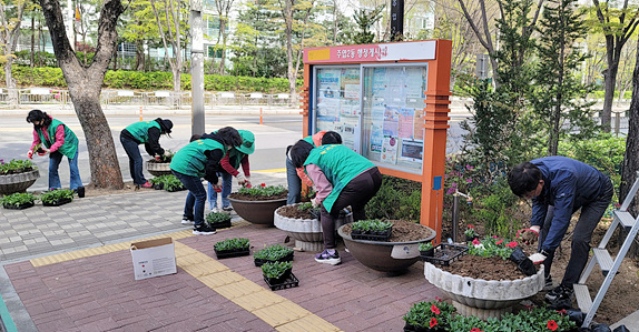 주엽2동이 문촌초등학교 인근 등 주엽2동 일대에 페튜니아 등 초화 1,000본을 식재했다