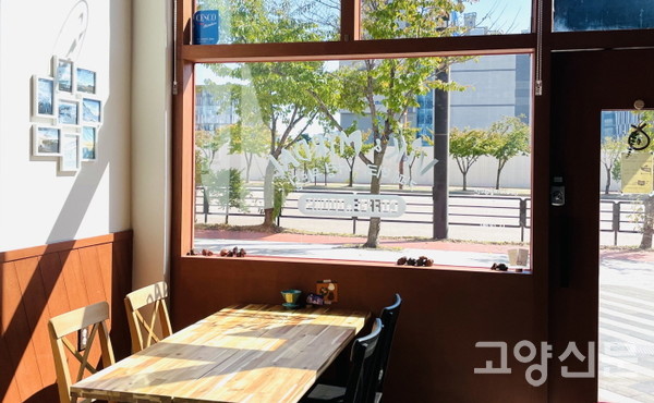 큰 유리 창문을 통해 들어오는 햇살을 즐길 수 있는 책방의 명당자리 [사진제공=서점 뮈르달]