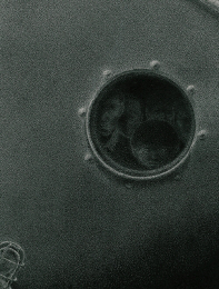 그림책 『응시』(김휘훈 지음, 필무렵)