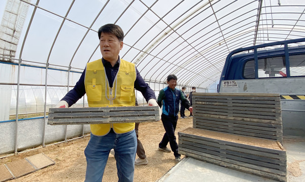 심은보 송포농협 조합장도 공동육묘장에서 모판을 나르고 농민들과 이야기를 나눴다.