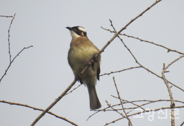 [사진제공=에코코리아]